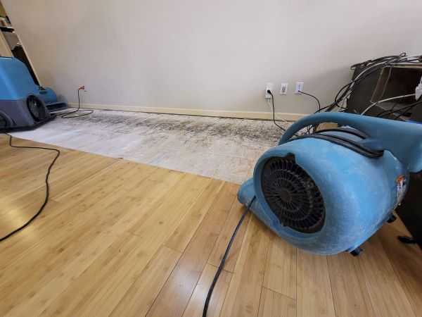 Cost of Water Damage Mitigation in Tinley Park