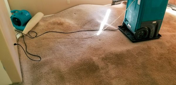 Cost of Flood Damage Cleanup in Tinley Park