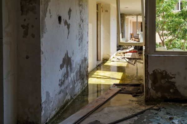 Cost of Water Removal Service in Tinley Park