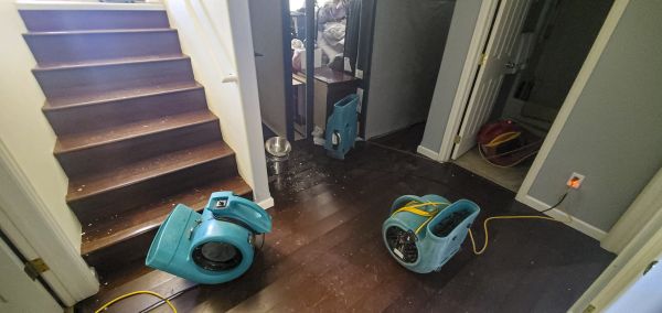Cost of Water Damage Remediation in Tinley Park