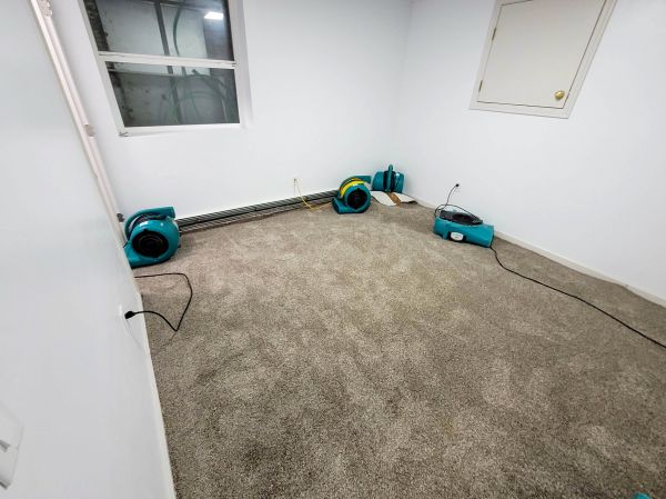 Cost of Flood Restoration Service in Tinley Park