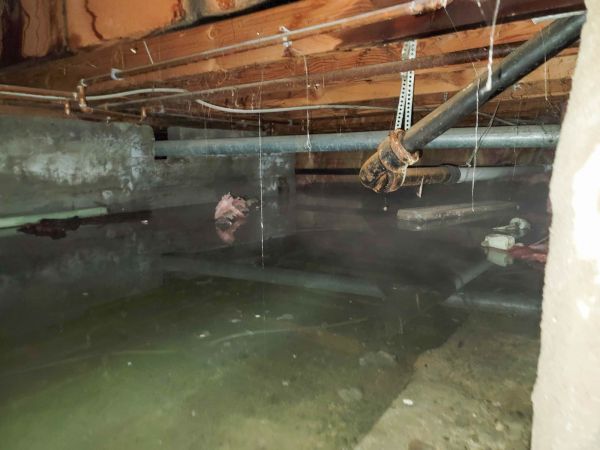 Cost of Water Mitigation Service in Tinley Park