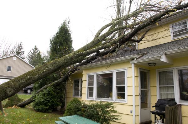 Cost of Hurricane Damage Repair in Tinley Park